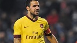 Arsenal có thể tới Việt Nam vào tháng 7/2011